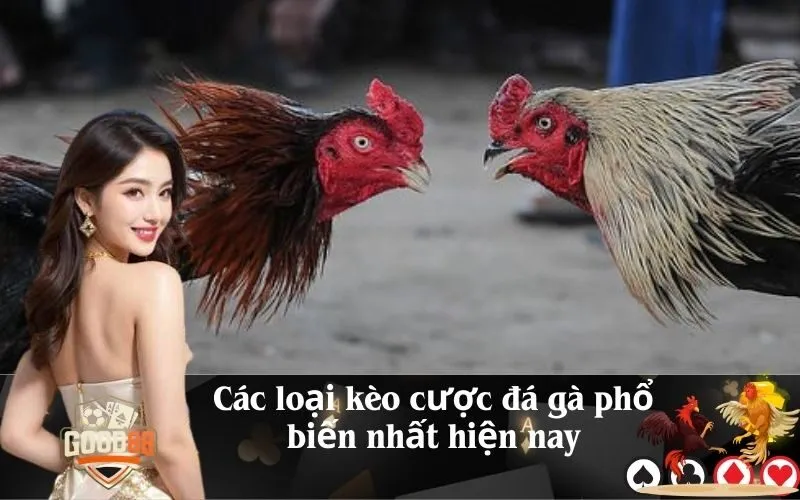 good88 Các loại kèo cược đá gà phổ biến nhất hiện nay