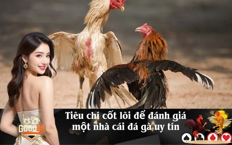 Tiêu chí cốt lõi để đánh giá một nhà cái đá gà uy tín